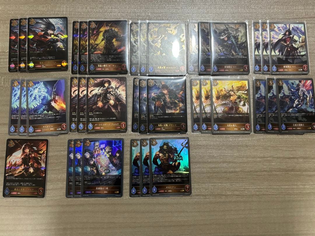 シャドウバース エボルヴ 武闘竜人　デッキパーツセット