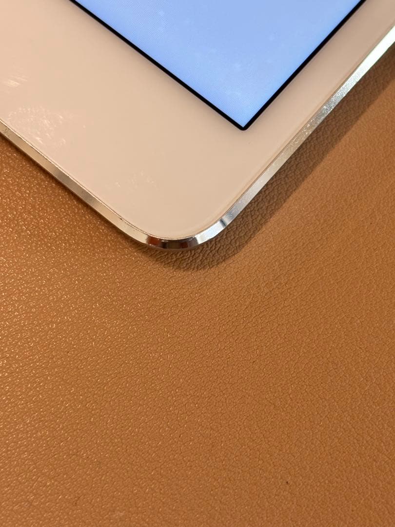 Apple iPad mini (第4世代) シルバー16GB