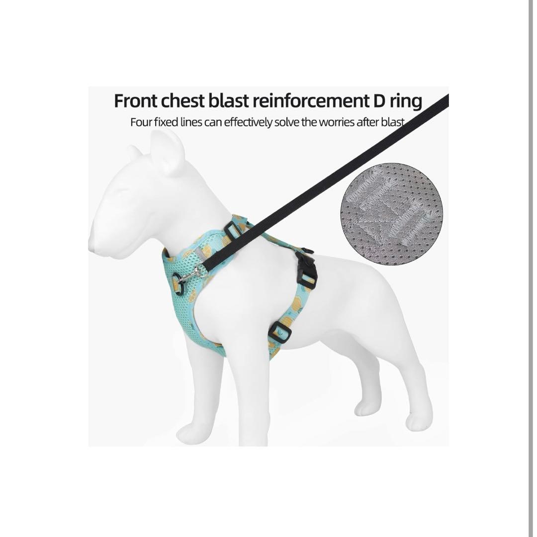 メッシュ 犬用 ハーネス 胴輪 リード セット 超小型犬 小型犬 子犬 猫 散歩