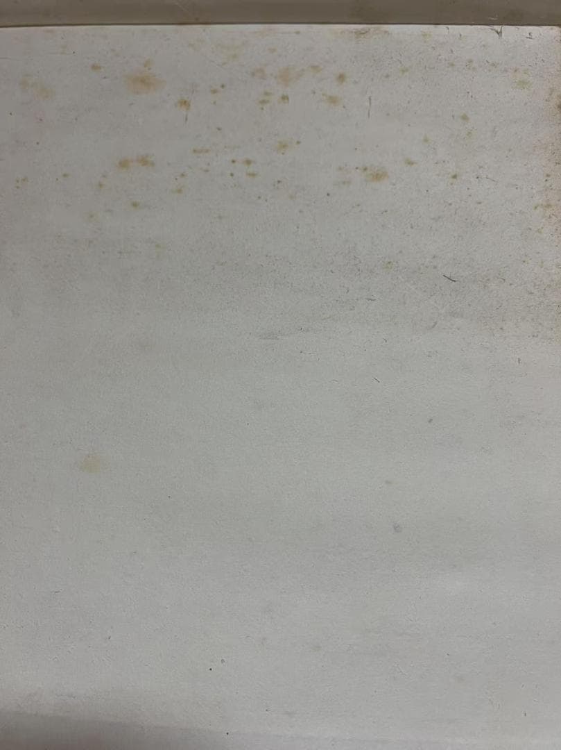 ＊訳あり商品＊真作　肉筆 中国工筆画　【雪景猛虎図】　掛軸　緻密精細(S-14)