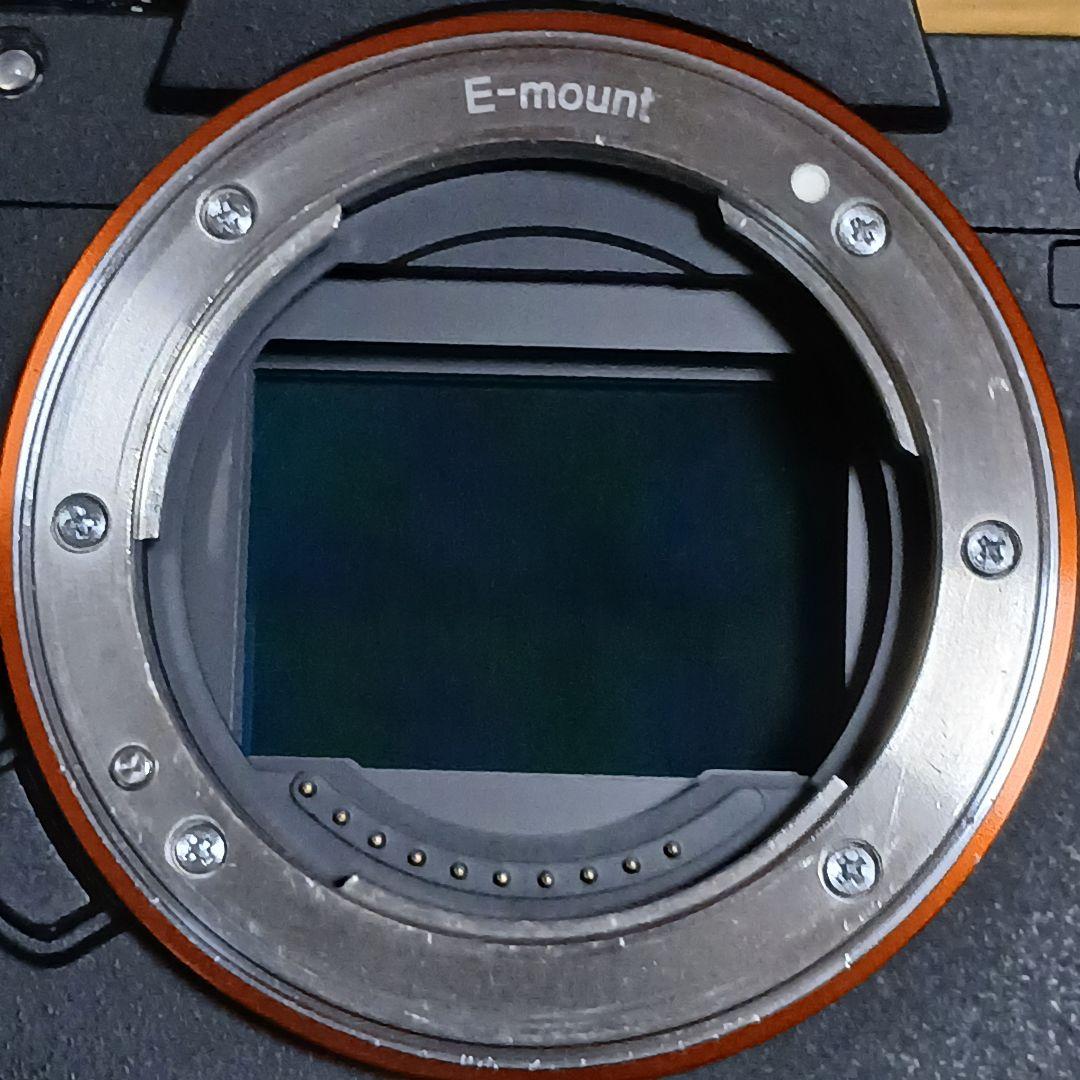 SONY α7 III ミラーレスカメラ ボディのみ