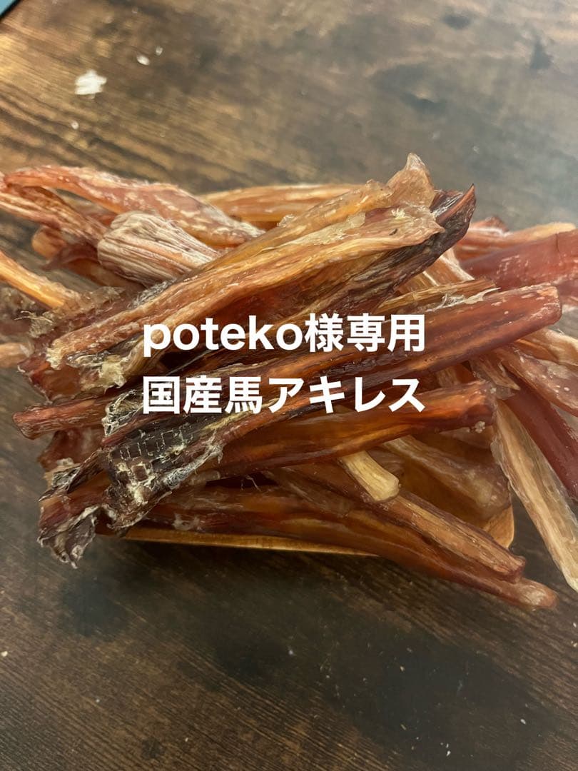 poteko　国産馬アキレス