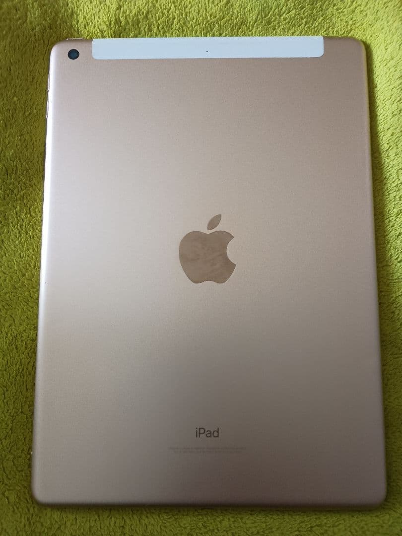 Apple iPad (第5世代) 32GB Wi−Fi+cellular