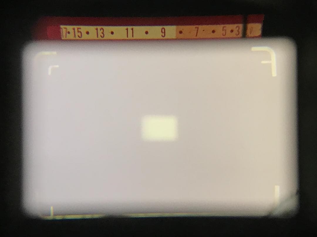 【整備済　美品】ブルー オリンパス 35 SP 露出計OK #1384