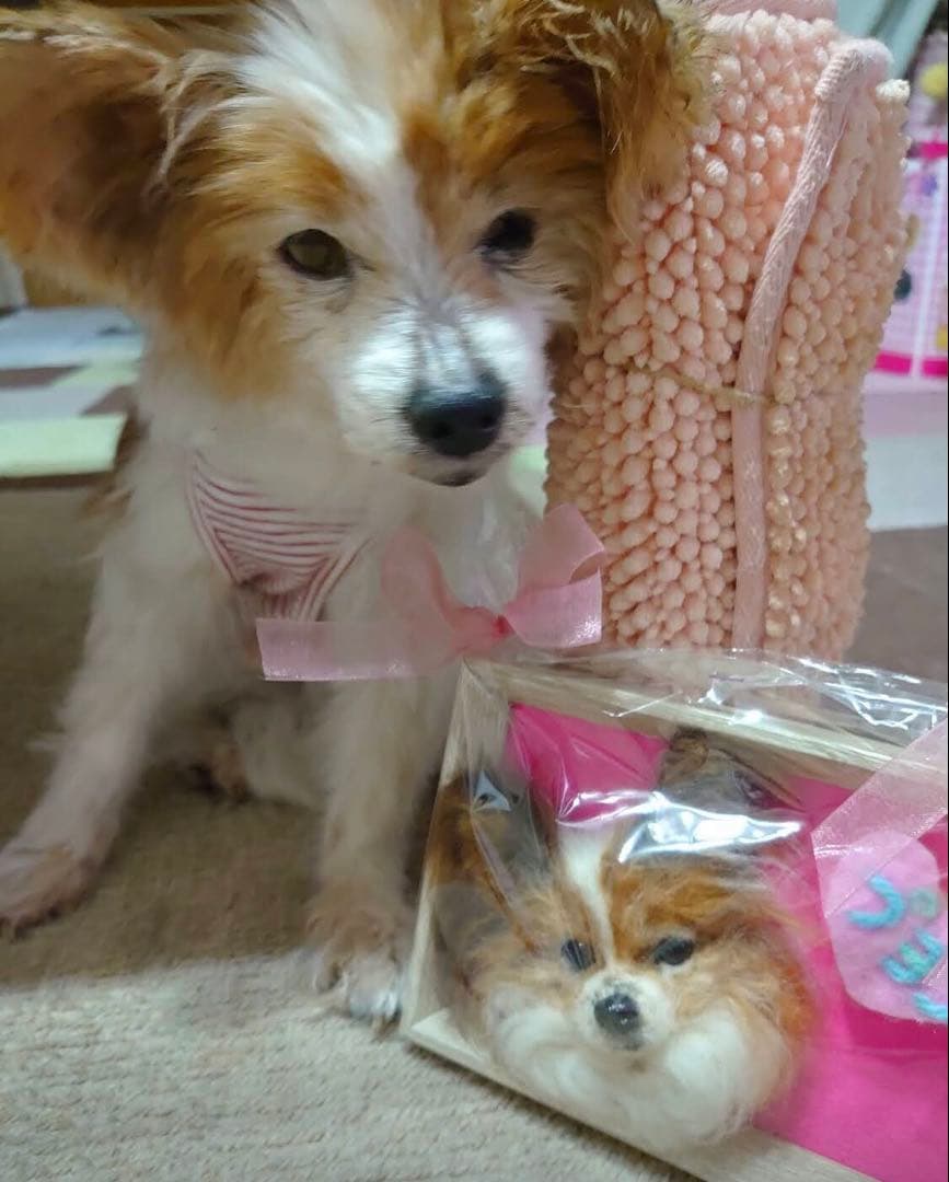 わんこ限定　うちの子プレート　わたわたペット　羊毛フェルト作品