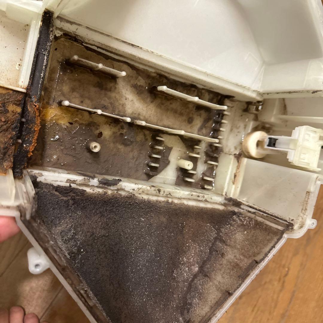 シャープ　ES-W114-SR 2023年購入　分解清掃済み　ドラム式洗濯乾燥機