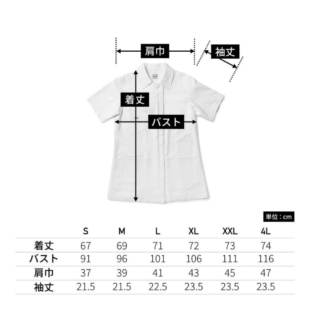 上下セット　Lee ケーシー　パンツ　看護　白衣　Lサイズ