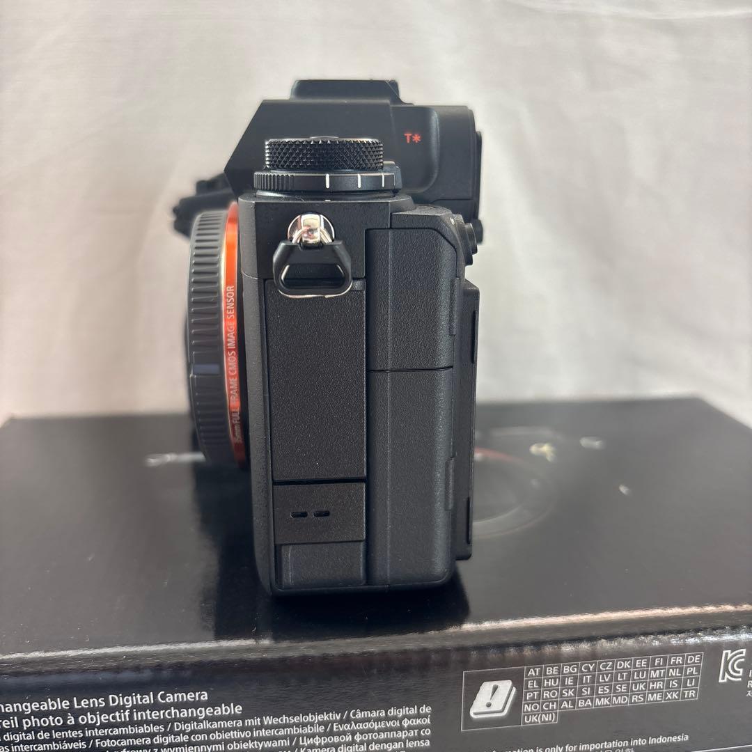 SONY α1 シャッター2795回