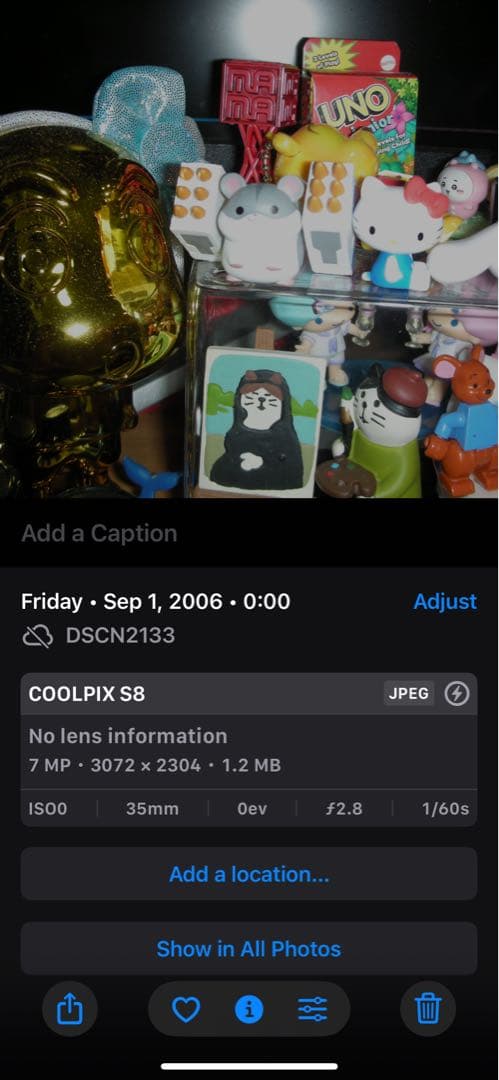 Nikon COOLPIX S8 デジタルカメラ シルバー　CCD 動作美品作例