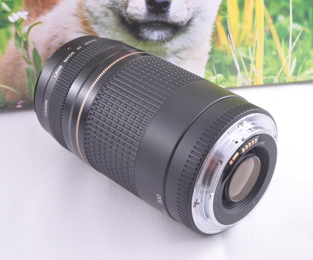 望遠レンズ Canon キヤノン EF75-300mm 想い出の瞬間 完動品