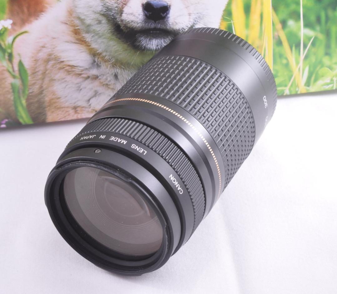 望遠レンズ Canon キヤノン EF75-300mm 想い出の瞬間 完動品