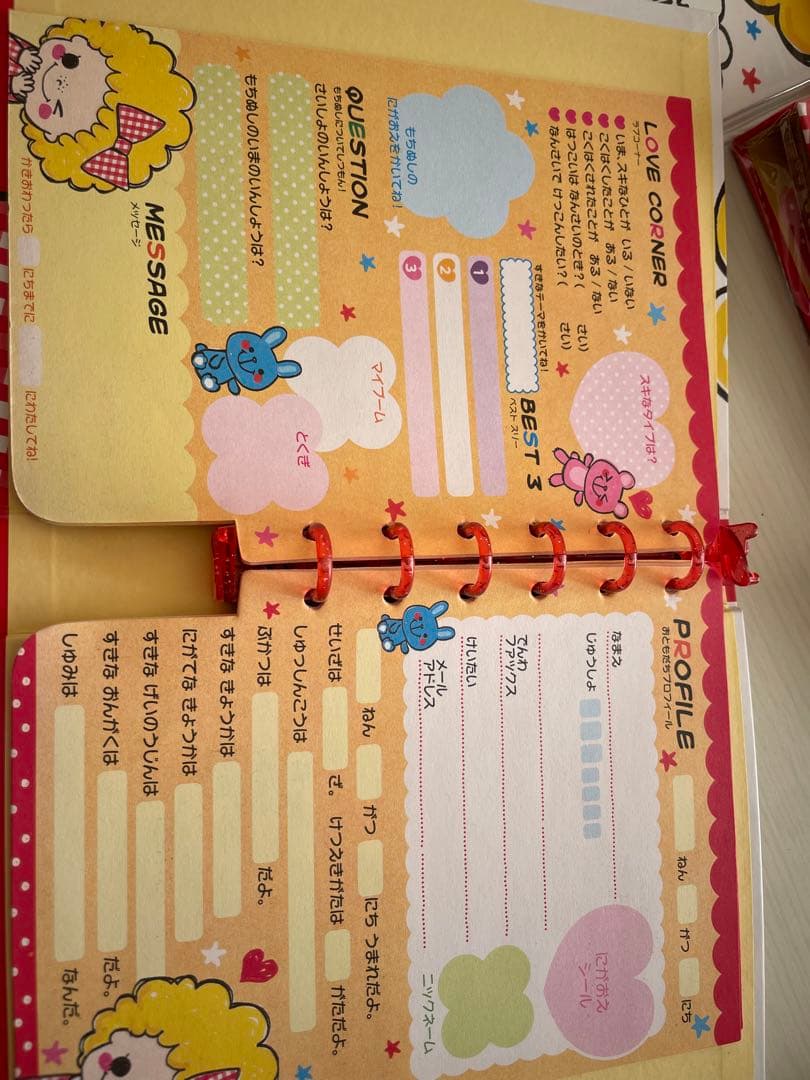 平成レトロ プロフィール帳 懐かし ファンシー文具 10個
