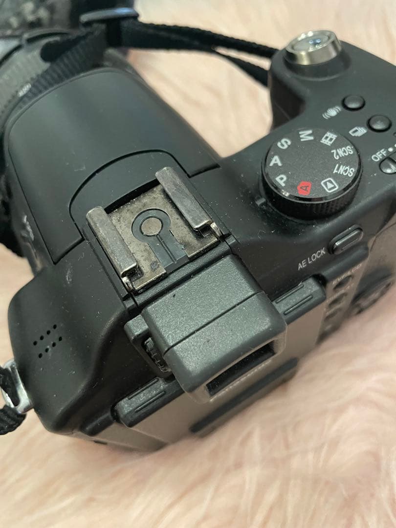 LUMIX DMC-FZ30 12倍ズーム 動作品 付属あり