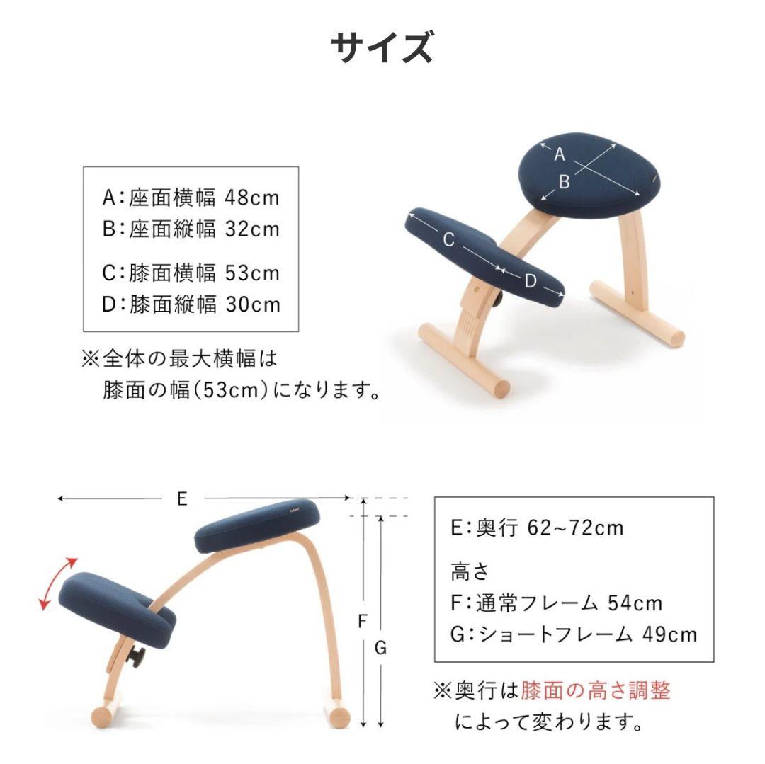 【美品】バランスラボ balansEasy バランスチェア(通常フレーム)