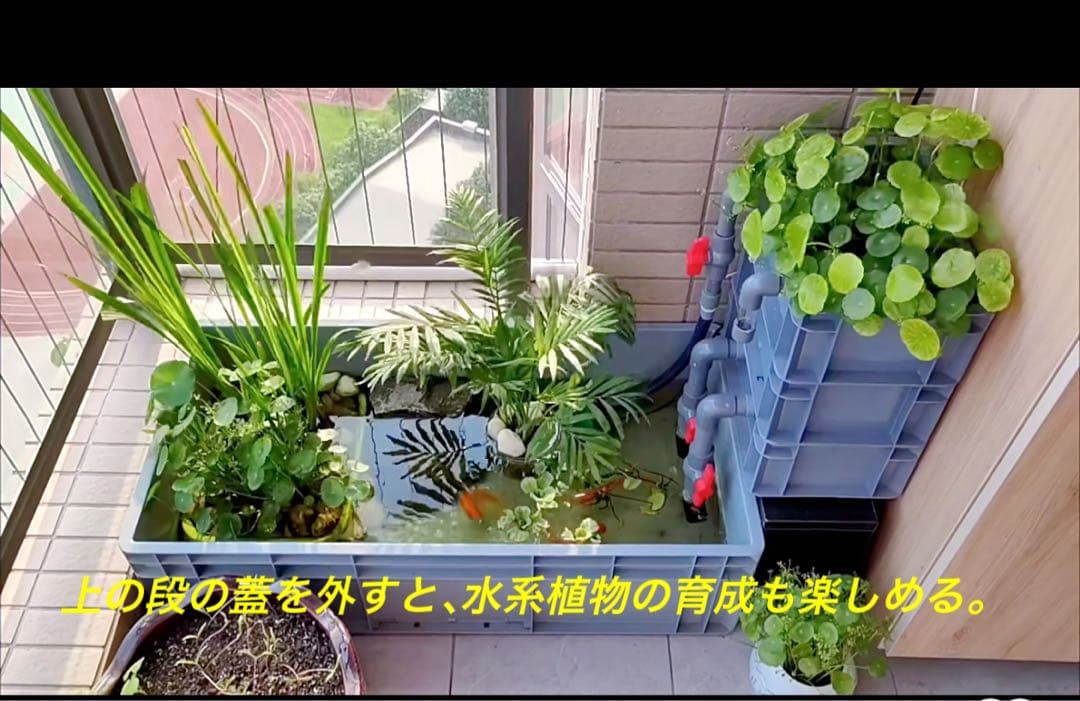 【期間限定おまけ付き】水槽用万能フィルター 万能濾過槽　外部式飼育濾過装置