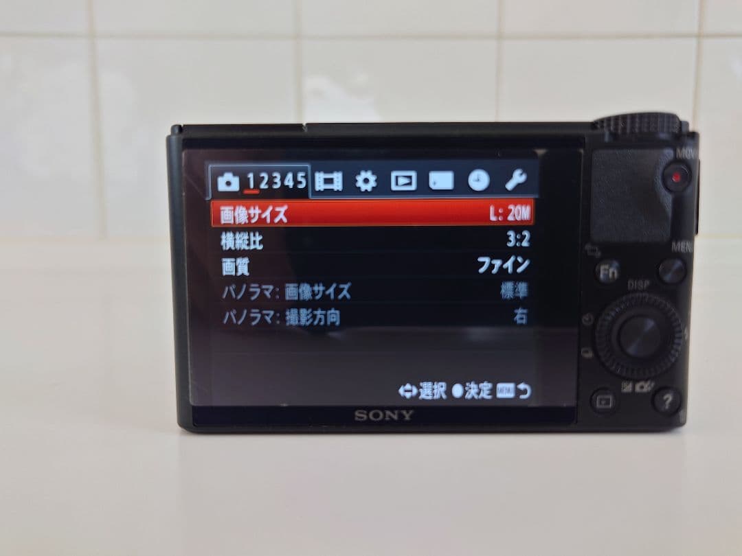 【美品】SONY RX100【初代　日本製】