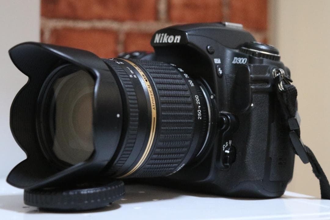 【高倍率ズーム付】Nikon D300＋TAMRON18-250mm