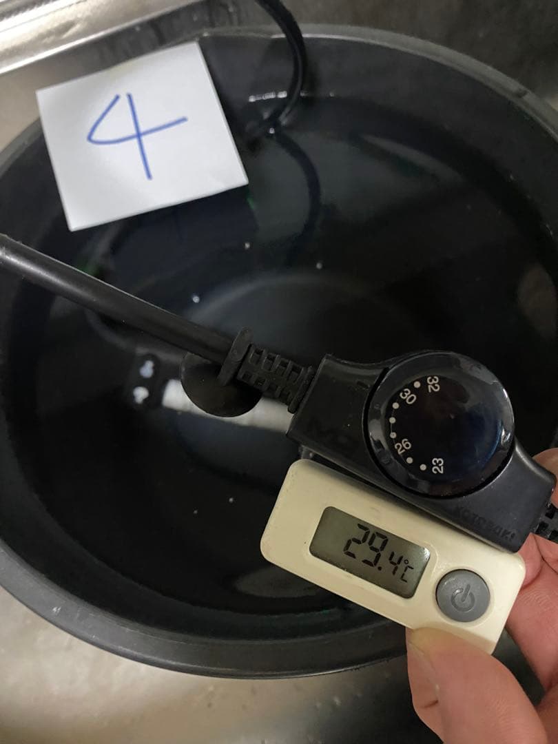アクアリュウムヒーター 各種、水温自動調節機能付き