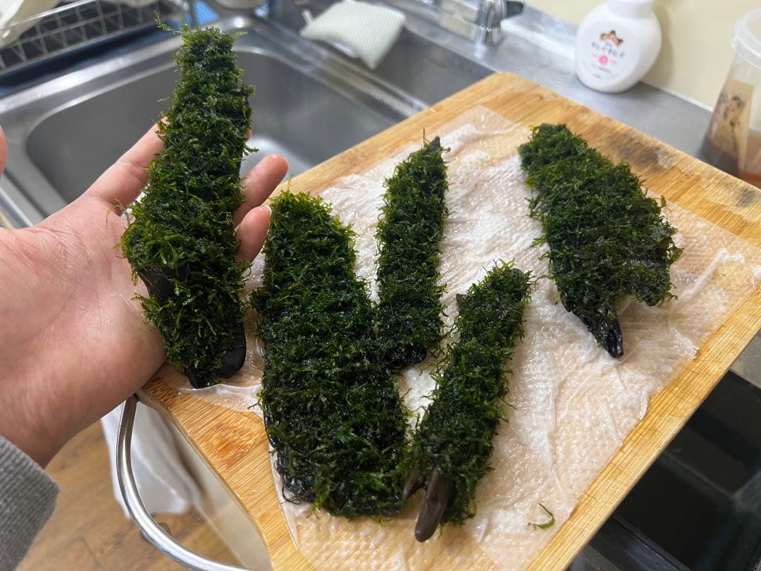 流木モス30日歳　沈む流木