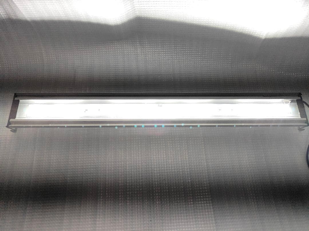 GEXクリアLEDパワーIII900 2本セットとアクロ60cmBright1本