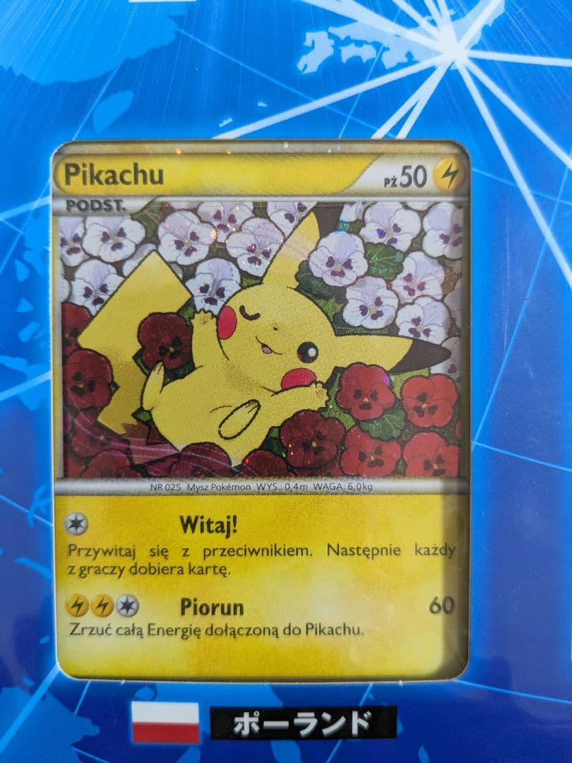 ポケモンカードゲーム ピカチュウワールド 9枚セット
