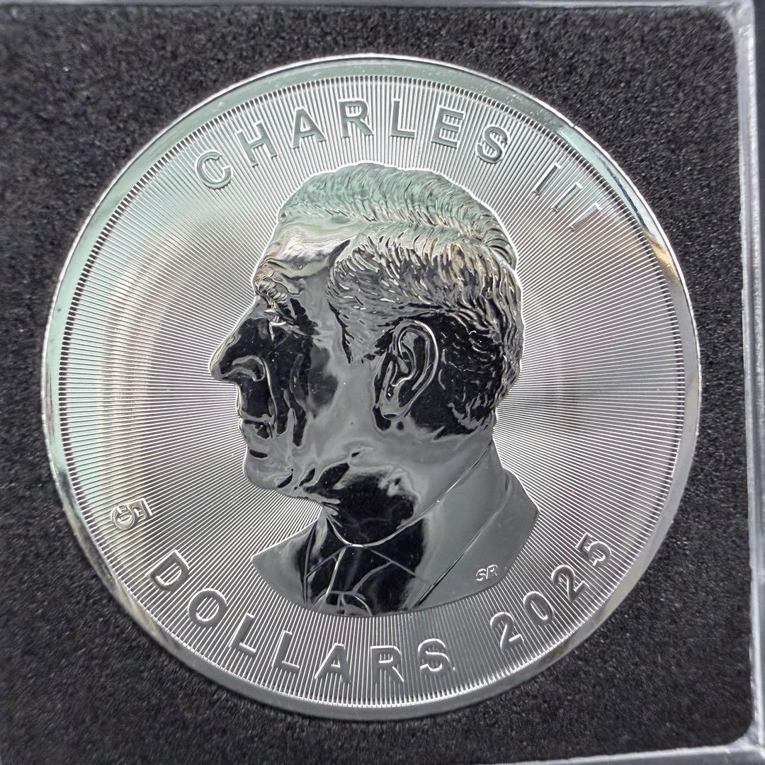 メイプルリーフ 銀貨 カラー ステンドグラスホース 1オンス 1oz 鑑賞ケース