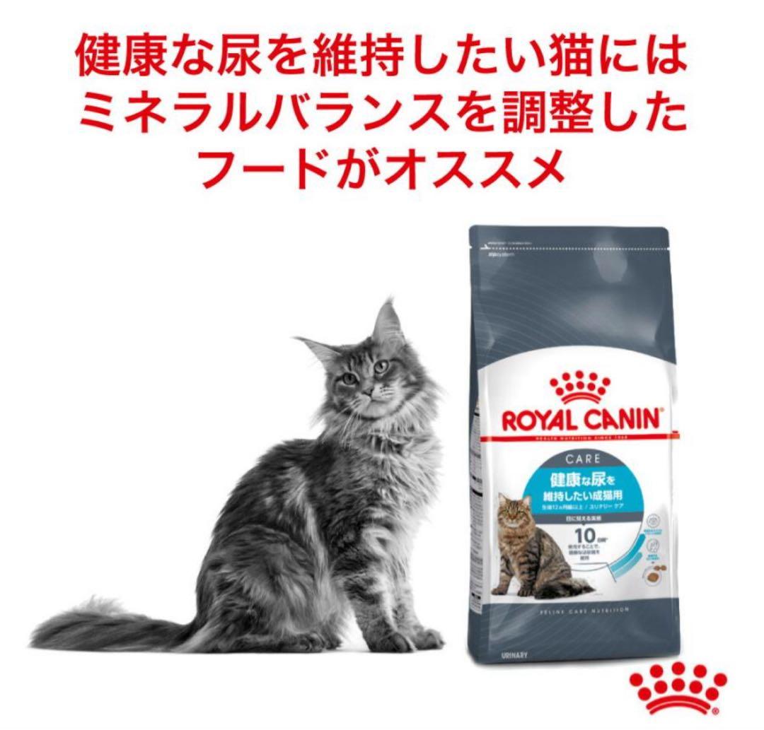 健康な尿を維持したい成猫用ドライ　2kg2袋セット