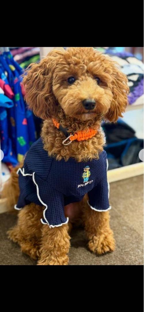 ❤︎新品✴︎未使用❤︎ DOG DEPT DOG & WOMEN ペアアイテム