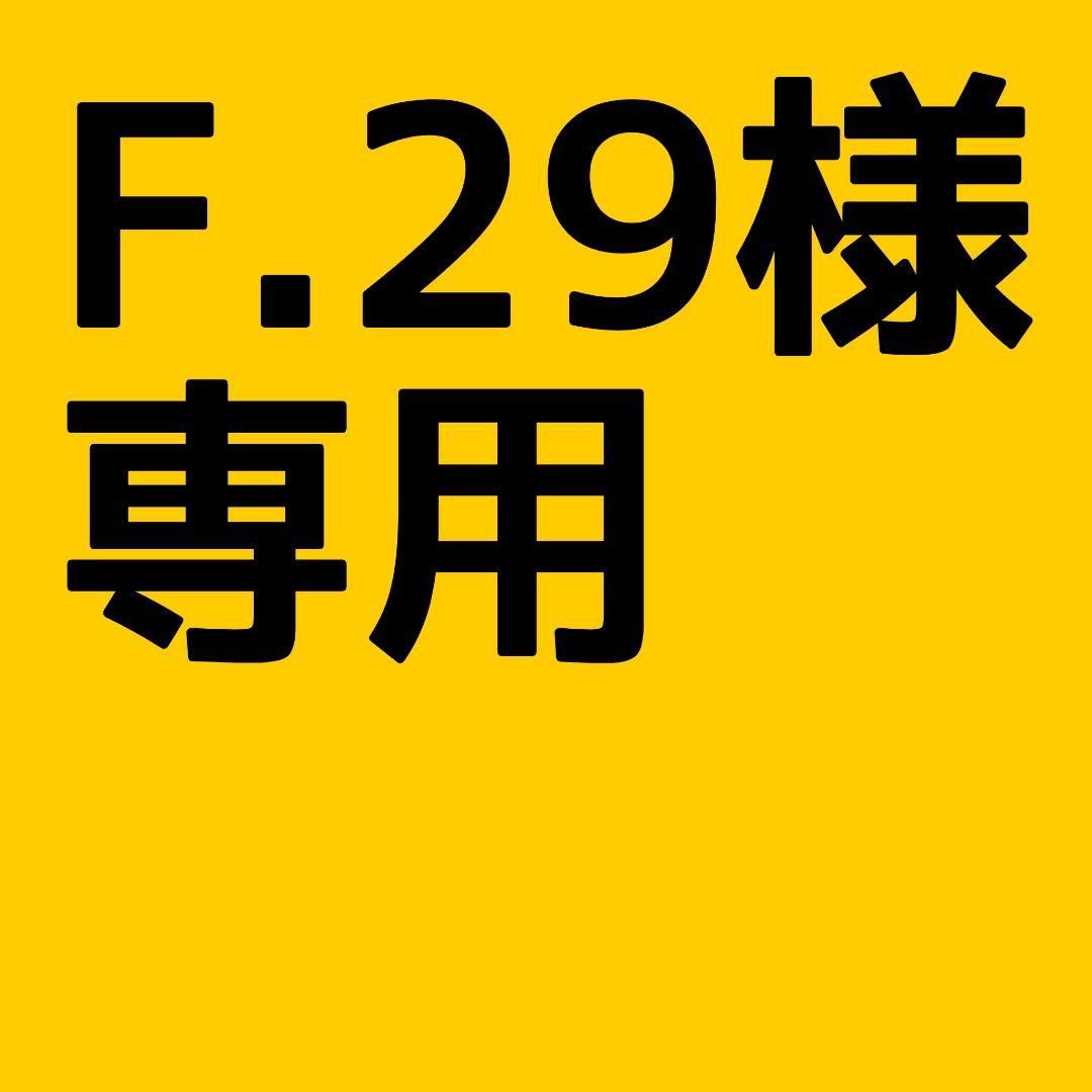 F.29　100