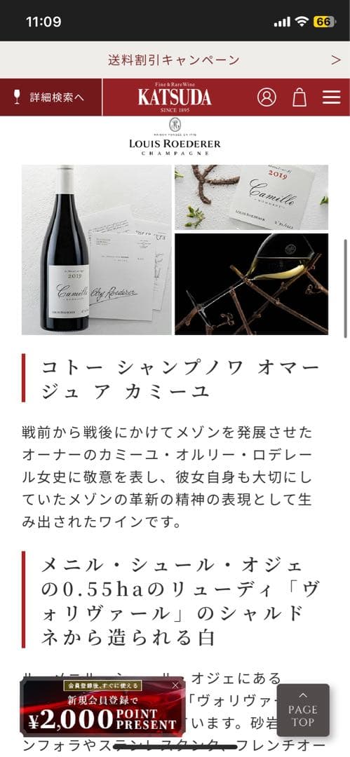 コトー シャンプノワ ブラン オマージュ ア カミーユ 2019 ルイロデレール