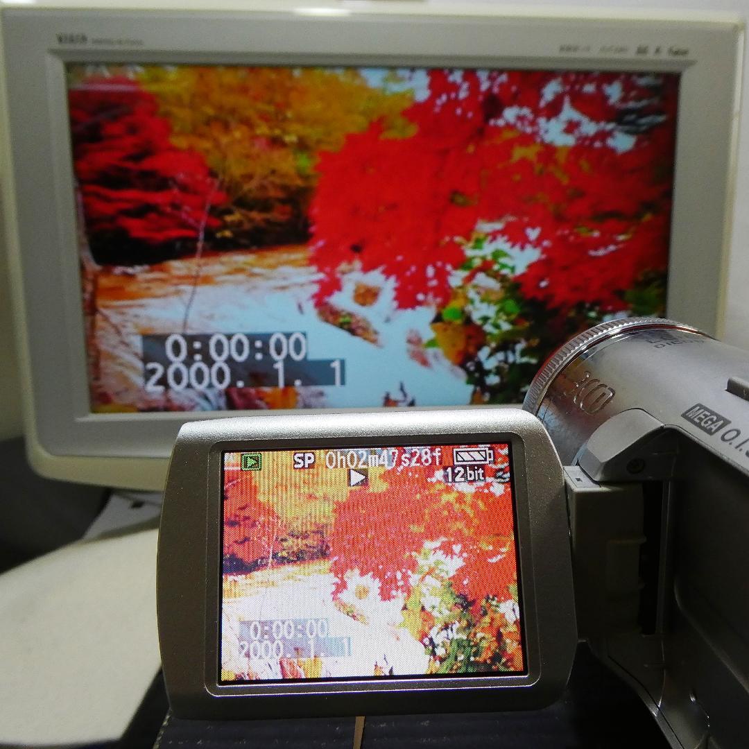 パナソニック NV-GS250 【動作良好】MiniDVビデオ　ダビングに最適