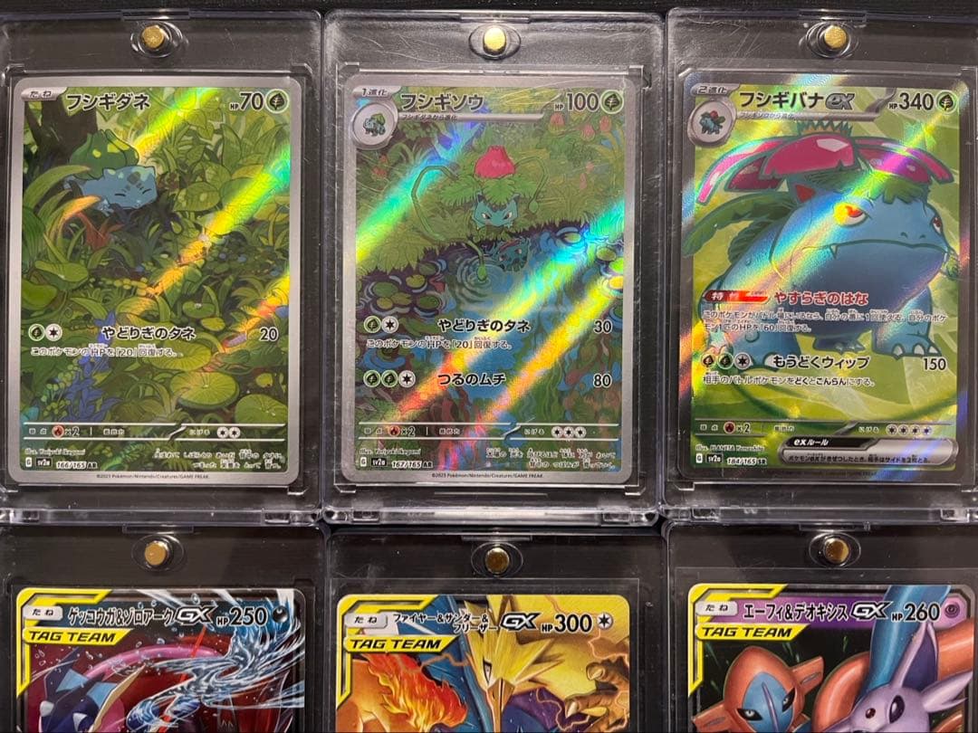 151 AR SR GX フシギバナ　フシギダネ　フシギソウ　まとめ売り