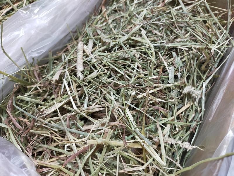 【1/14まで】 カナダ産 チモシー 30kg スーパープレミアム １番刈り