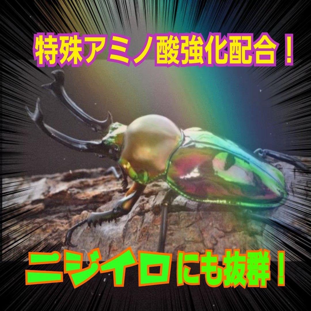 極上！ヒマラヤひらたけ菌糸瓶　特大1500ml【5本セット】トレハロース強化配合