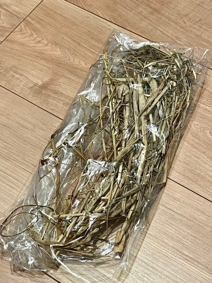 ★リアルなツバメの人工巣★新作粒無し★壁付けタイプ未使用品★本家youyou作★
