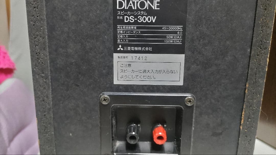 DIATONE DS-300V　ジャンク
