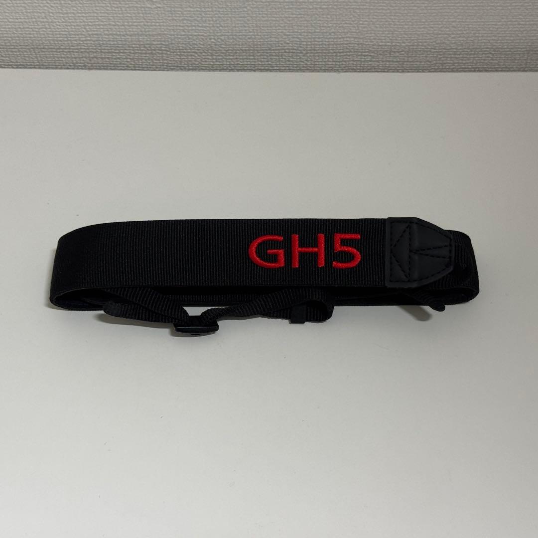 [美品]LUMIX GH5S ミラーレス一眼カメラ