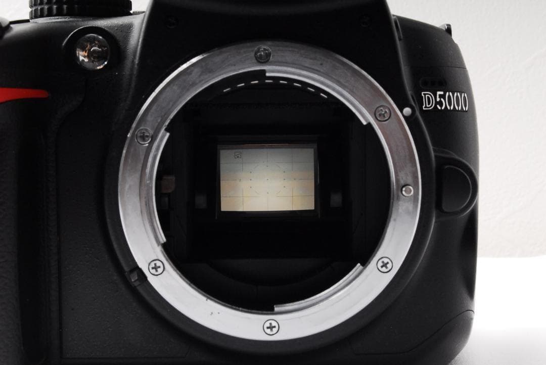 一眼レフデビューに❤️Nikon D5000 レンズセット スマホ転送 初心者