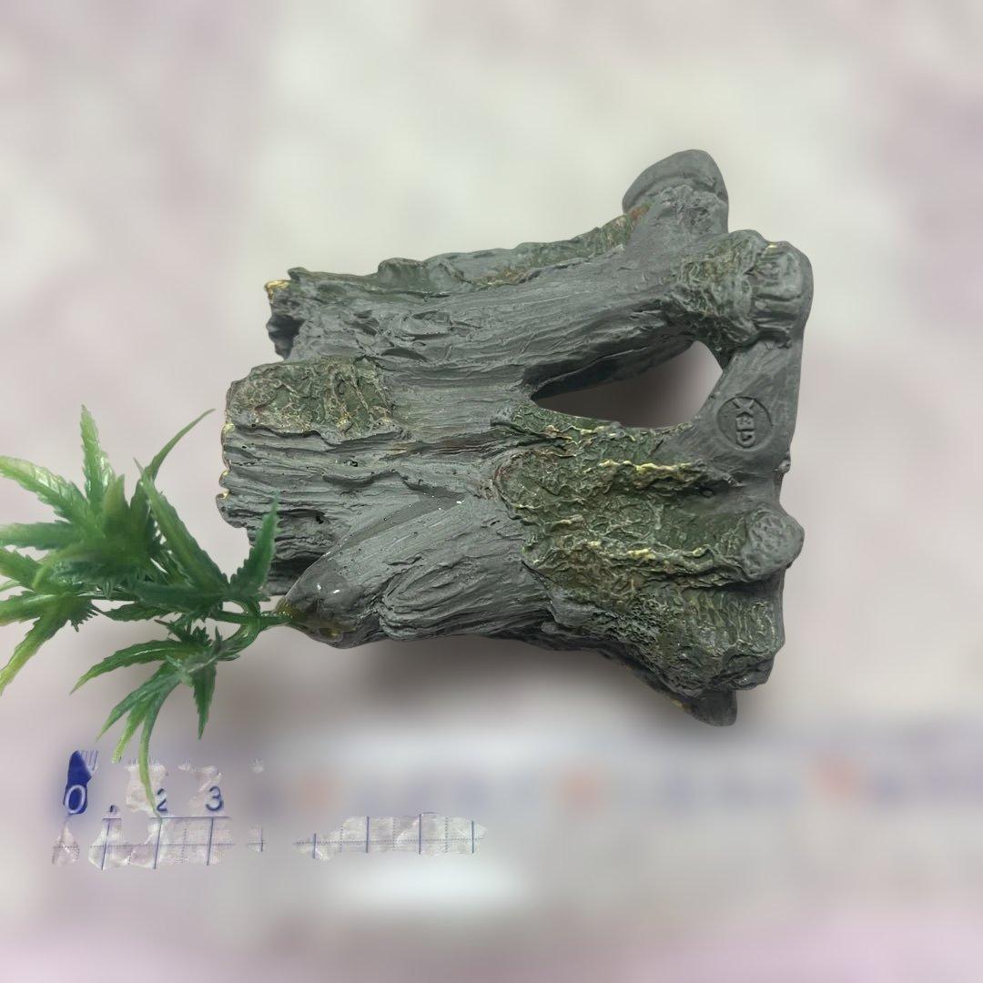 トンネル流木５点セット