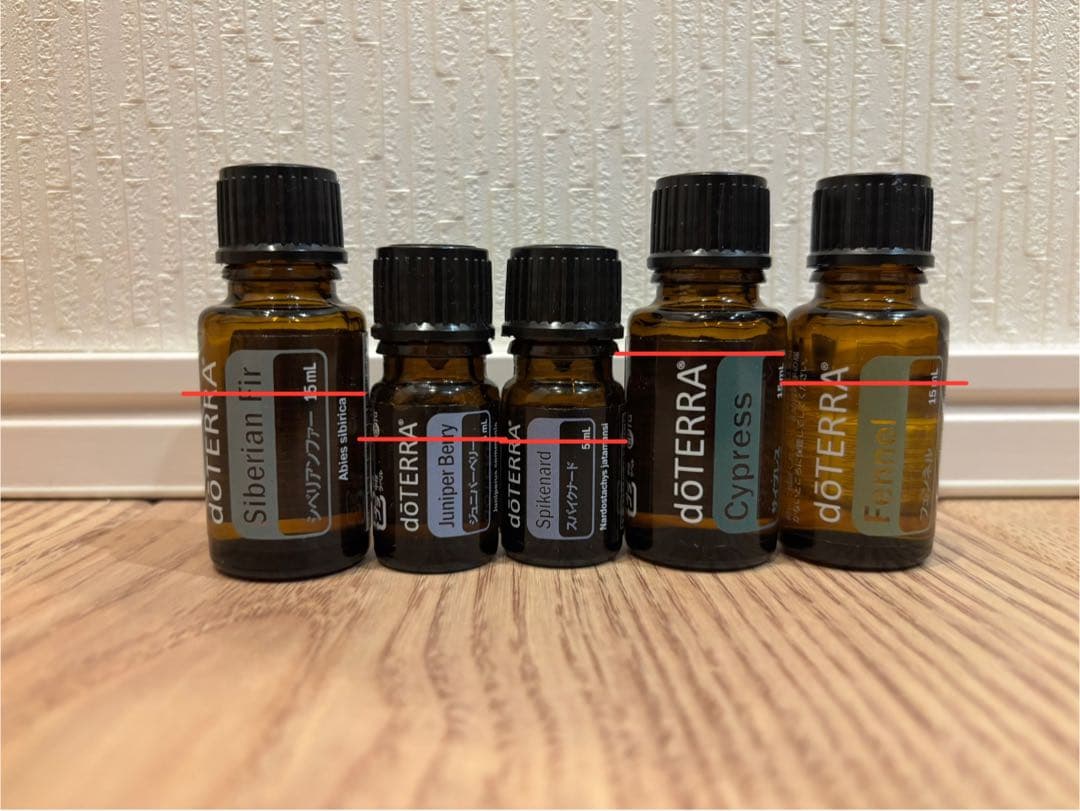 doTERRA エッセンシャルオイル収納ボックス 25本