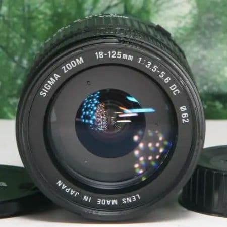 ❤普段使いこれ１本あればラクラク♪ SIGMA 18-125mm Nikon用❤