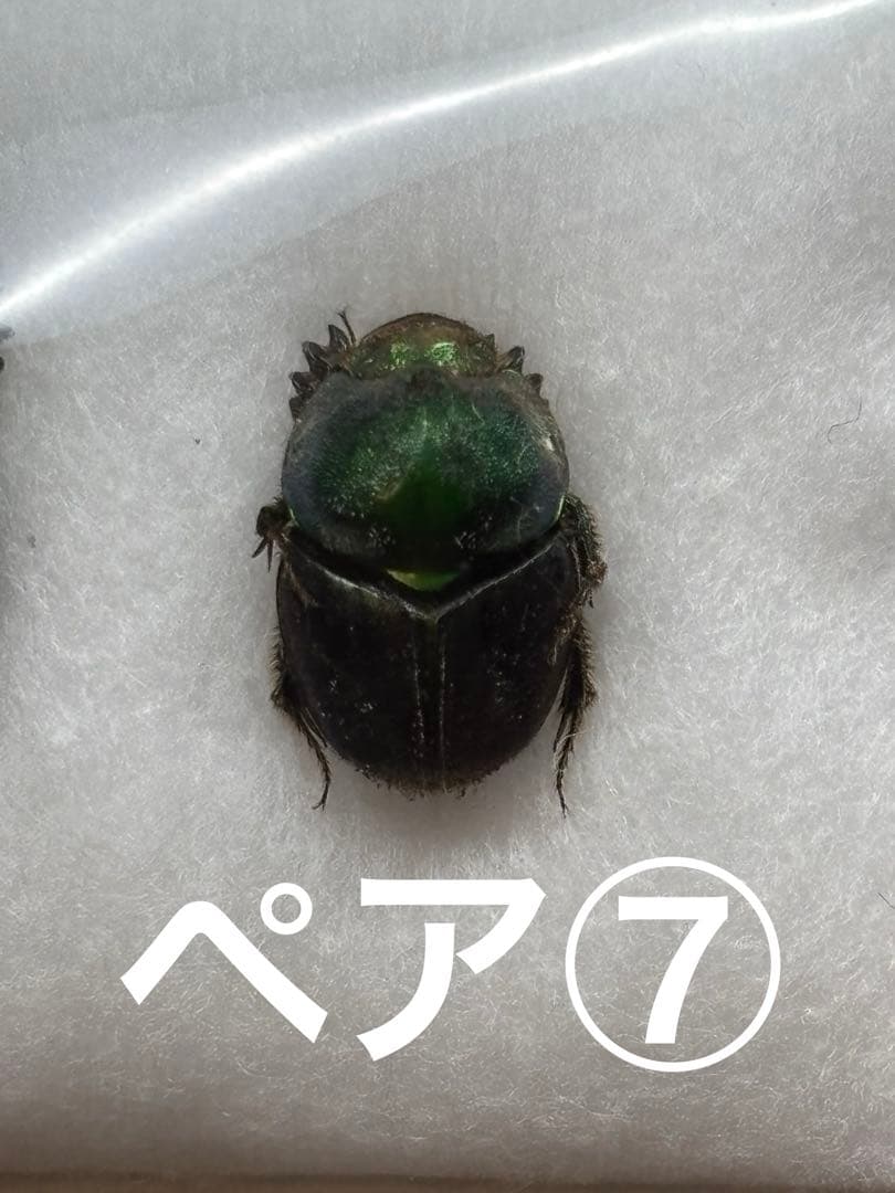 とも様リクエスト品セット