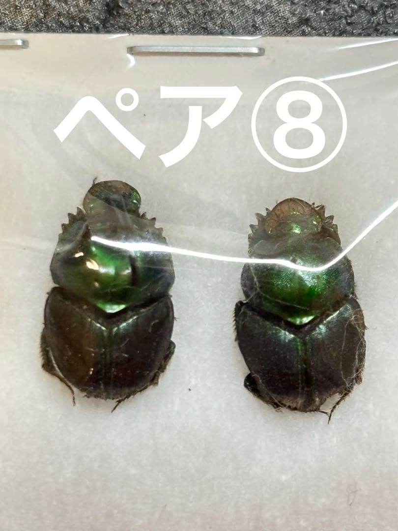 とも様リクエスト品セット
