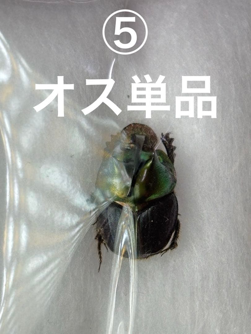 とも様リクエスト品セット