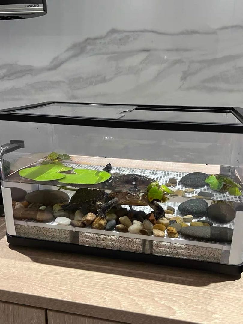 100本多孔質セラミック製水槽池用濾過材海水魚　水草　メダカ　金魚錦鯉水質浄化