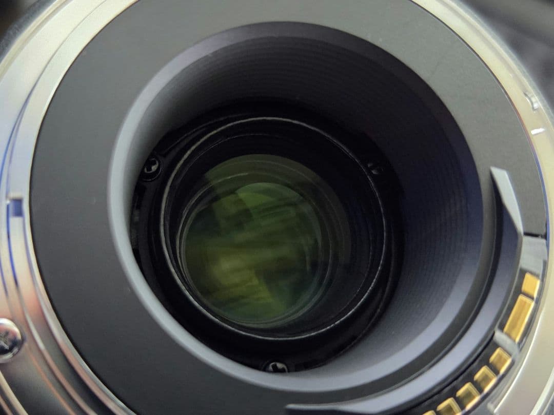 Canon EOS60D・TAMRON SP70-300mmSP A005