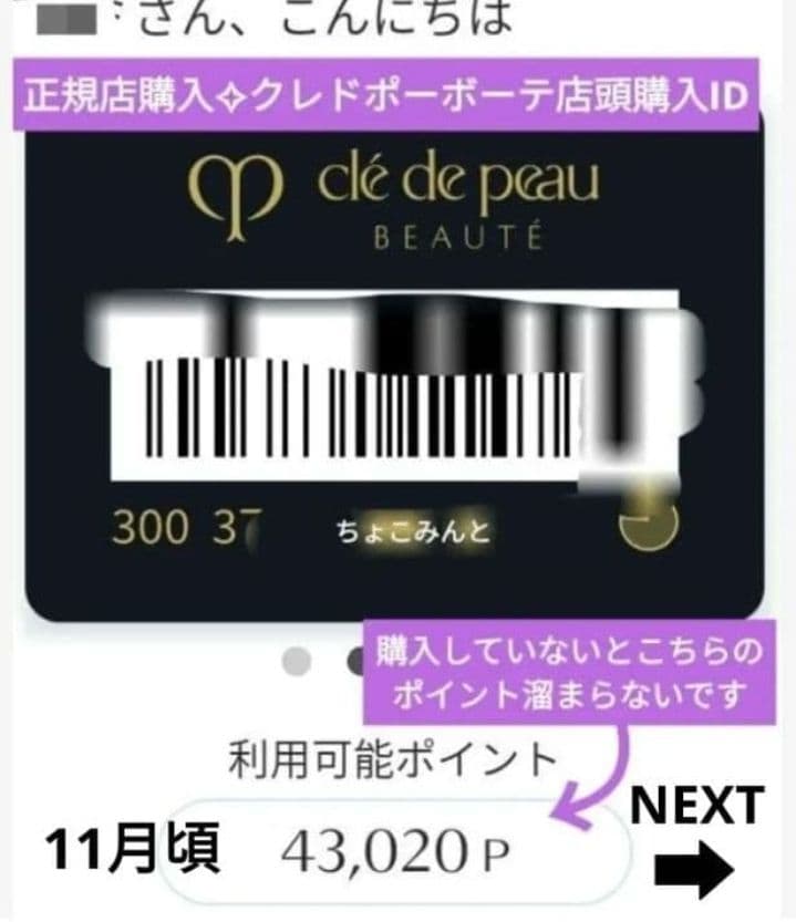 お値下げ致しました❣️新品✨ クレドポーボーテ ヴォワールコレクチュールn