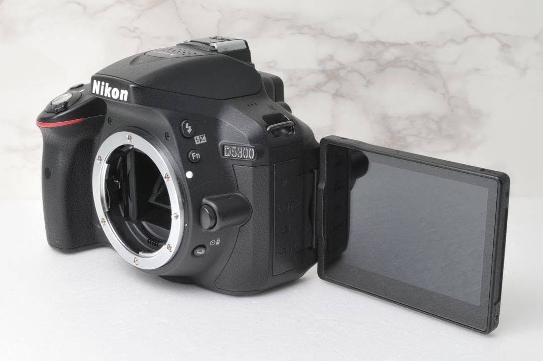 Nikon D5300⭐️ダブルレンズ Wi-Fi スマホ転送 高画質