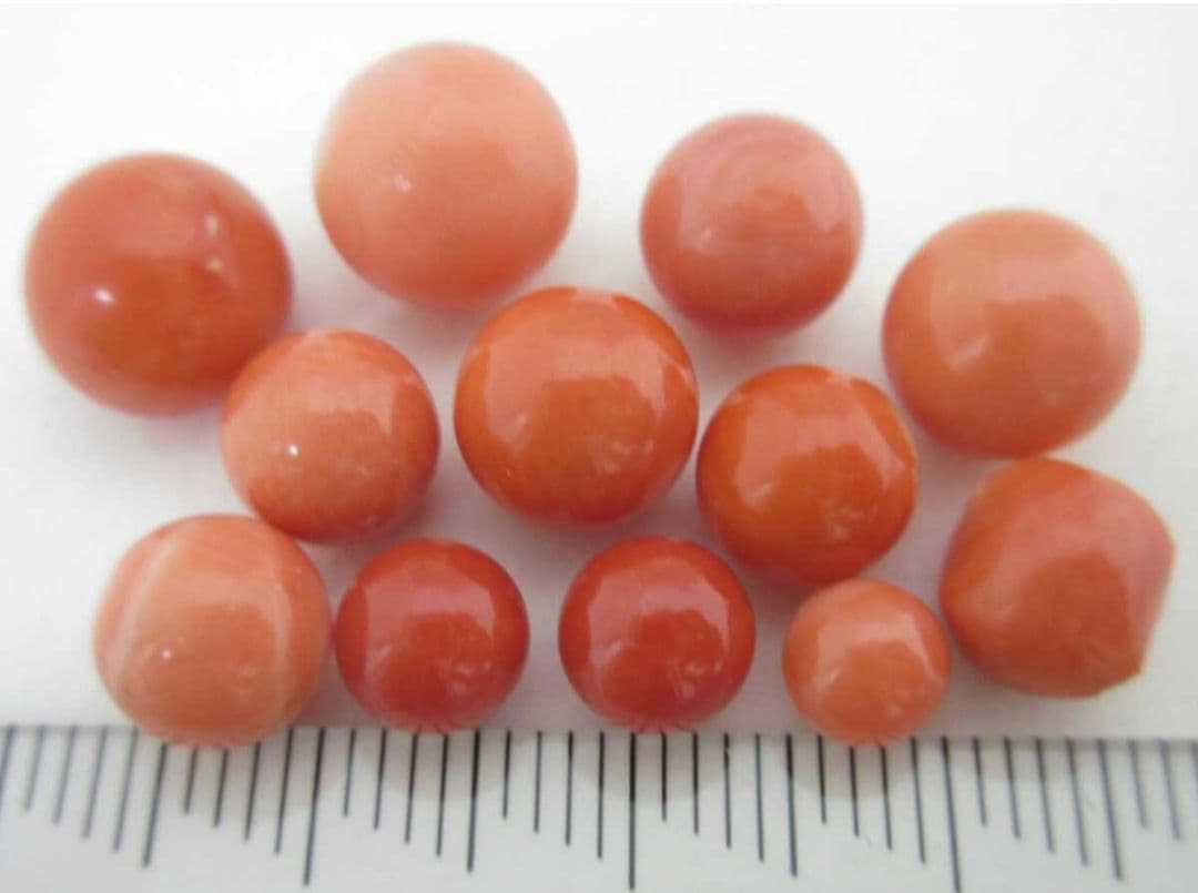 桃珊瑚 サンゴ 7g 片穴ルース セット 本珊瑚 s7a
