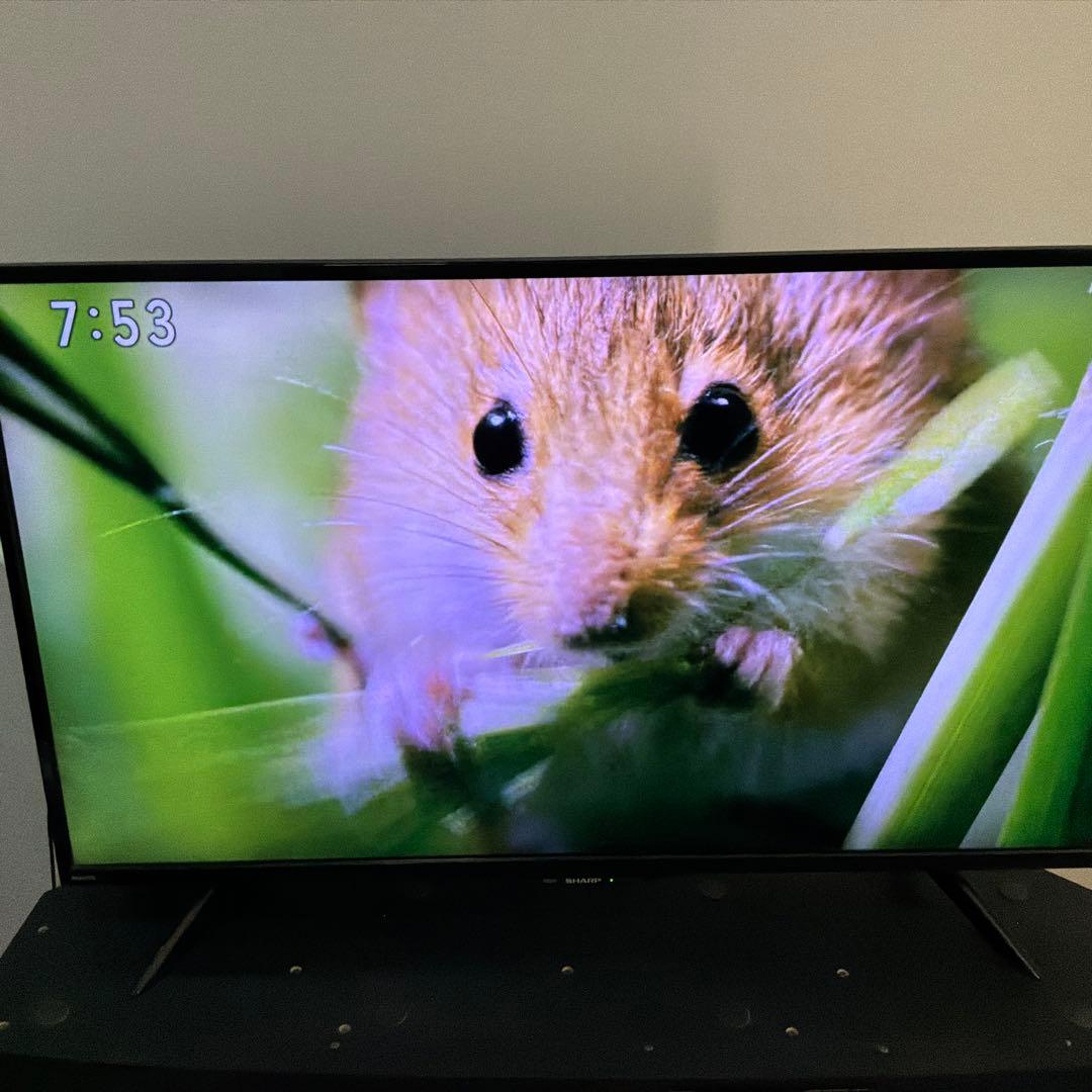 シャープ液晶テレビ 40インチ　4T-C40BH1